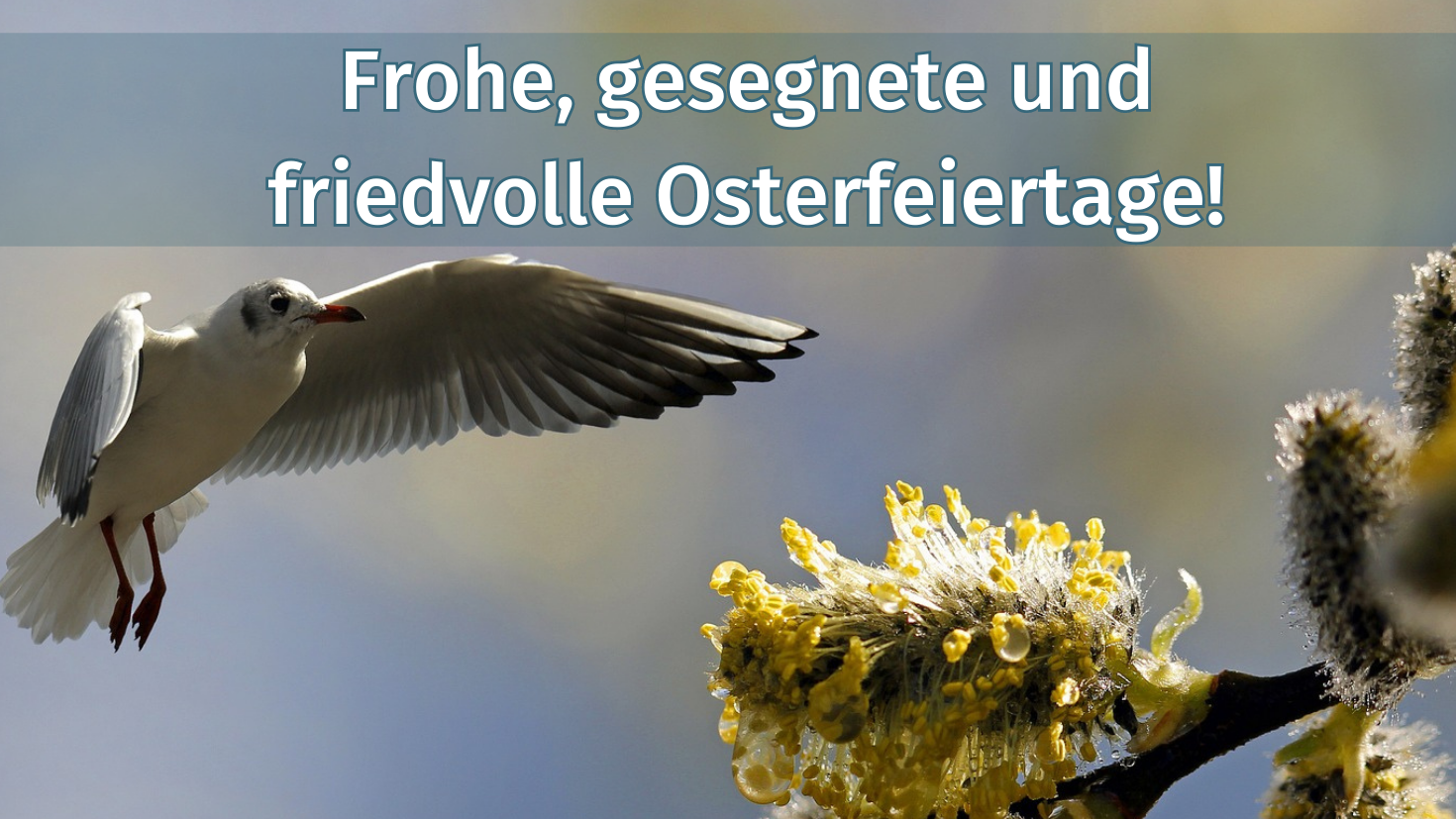 Frohe Ostern 22240
